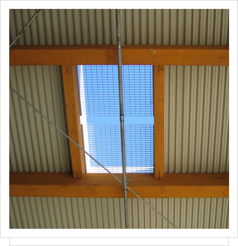 ✓ EMME-CI - I materiali utilizzati