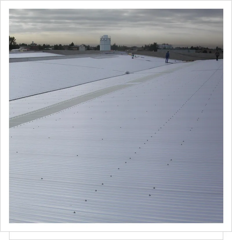 ✓ EMME-CI - I materiali utilizzati