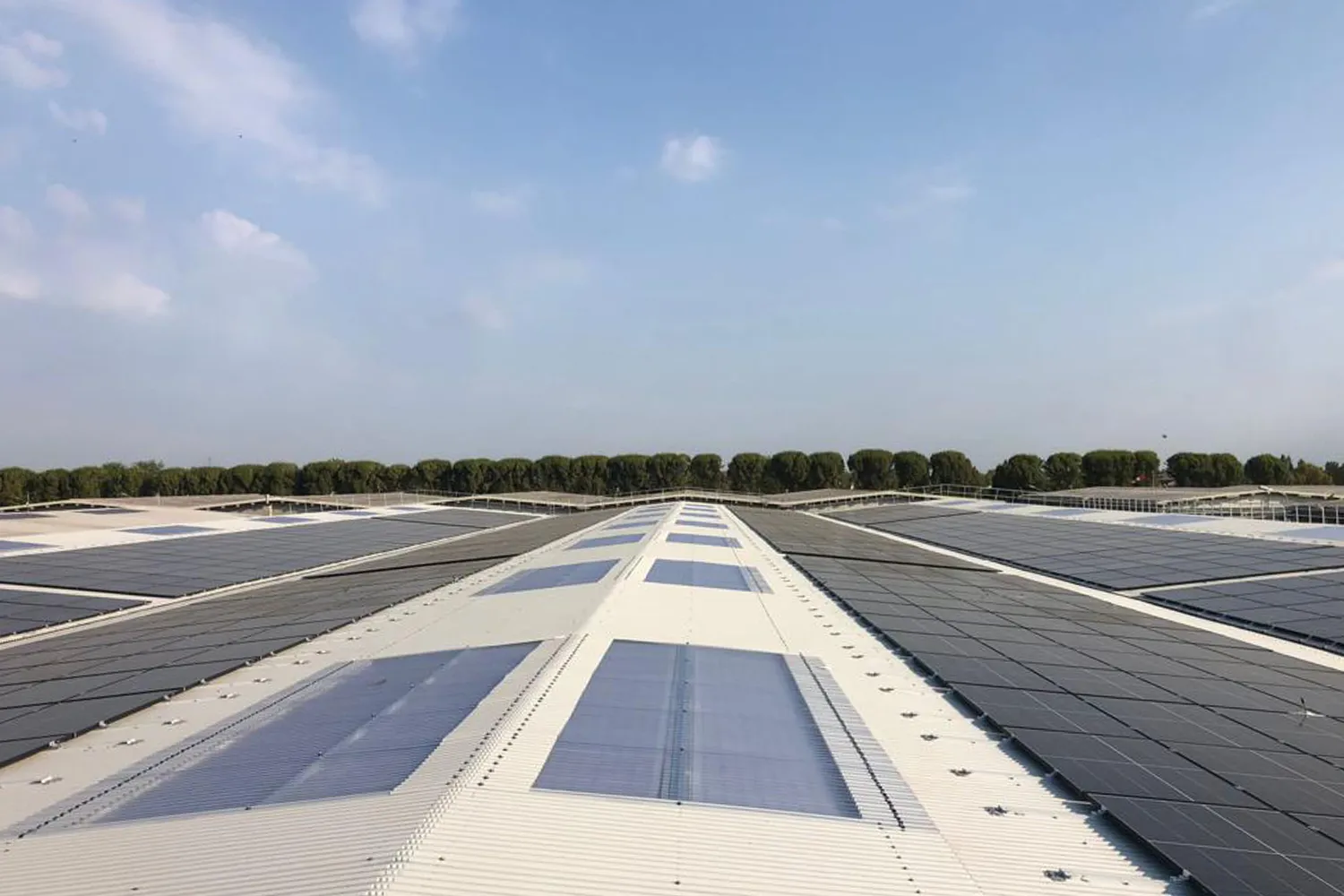 ✓ EMME-CI - I nostri lavori